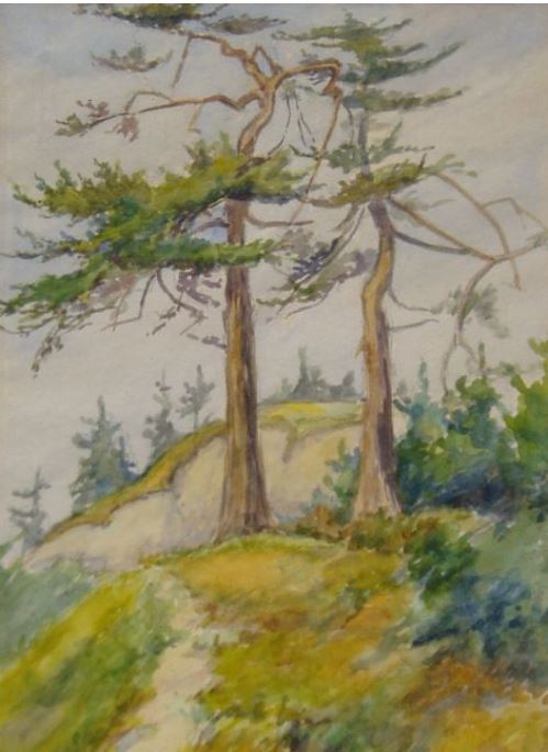 Witch Trees by Maud Rees Sherman
