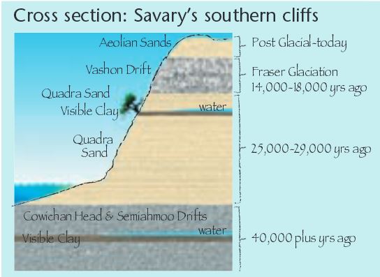 
Source: SILTS newletter 2003


