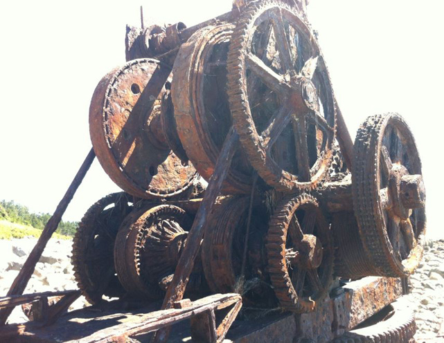 Maybe a gallon of WD-40 would do the job?