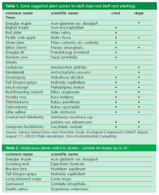 
Source: SILTS Newsletter Summer 2004

