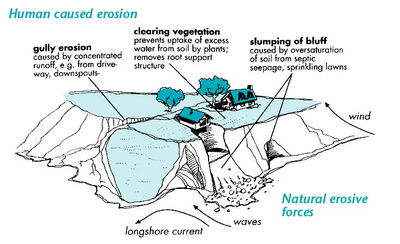
Source: SILTS Summer 2006 newsletter

