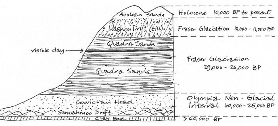 Pleistocene deposits that formed Savary Island 
Source: Dunster, 2000

