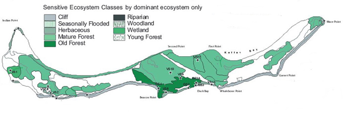 
Source: SILTS newsletter Summer 2004


