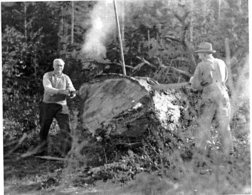 Brothers-in-law Harry Keefer and Bill Mace bucking a fir with a crosscut saw in 1929
(Source: Magnetic Isle, p62)
