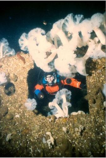 What the Capilano looks like now
(Source: Canada's Historic Places - Capilano Shipwreck)
