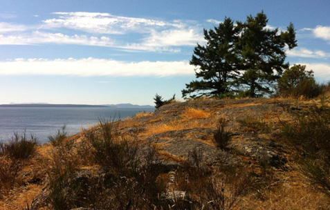 The view from Mace Point looking towards Harwood and Texada Islands