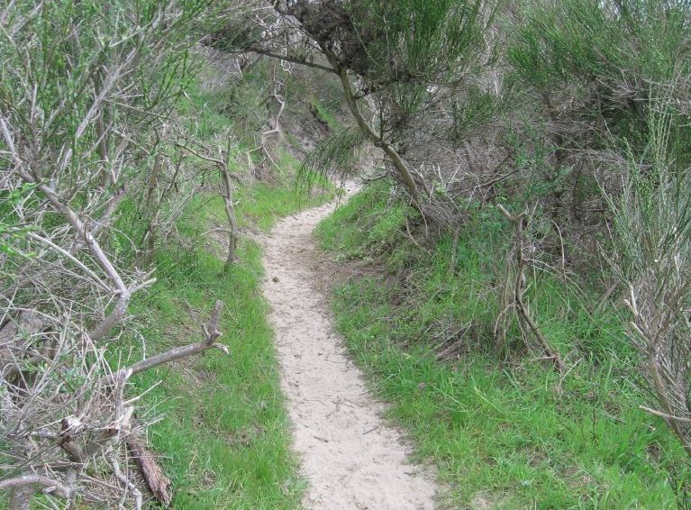 The South-beach trail now