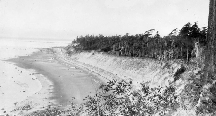 The view from Pirates Lookout in 1935: Whalebone Point in the distance, Savary Shores still just a twinkle in some developper's eyes.