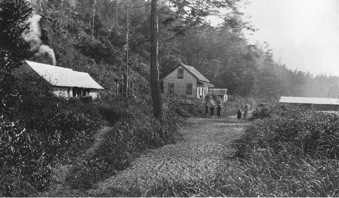 The Anderson House in 1916 looking west. The Front Row before it was a row.  To its left is the Spilsbury family tent.  Today, Vancouver Boulevard runs left up the hill right where the Spilsbury tent used to be.
(Source: Spilsbury's Album by Jim Spilsbury, Harbour Publishing, 1990, www.harbourpublishing.com)
