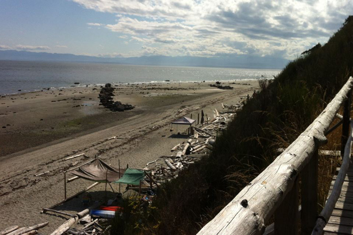 The groynes at Savary Shores